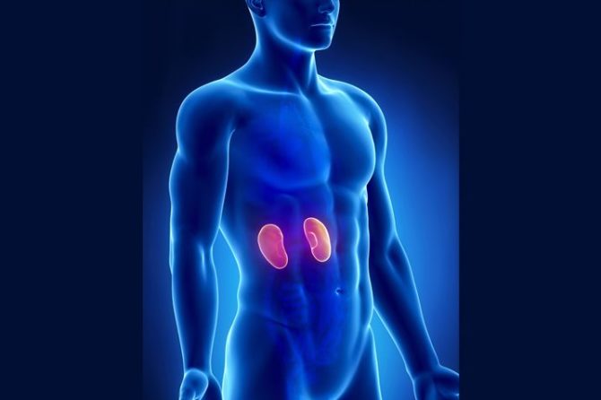 Information on kidney cancer and Cryotherapy