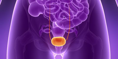 What Are the Risk Factors for Bladder Cancer and Tips for Prevention?